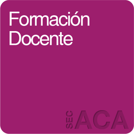 Formación Docente