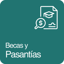Becas y Pasantías